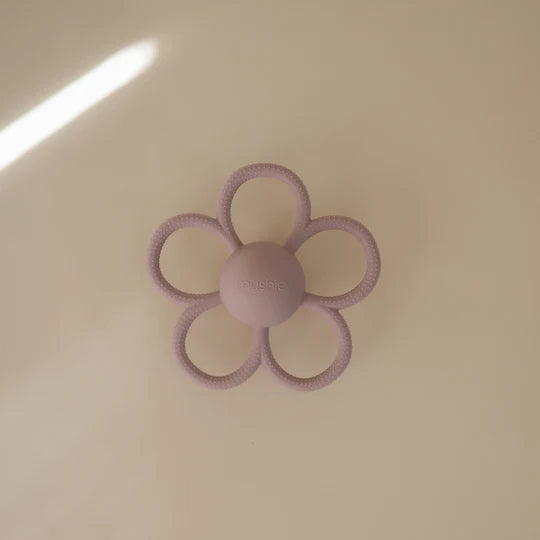 נשכן פרח- דייזי לילך