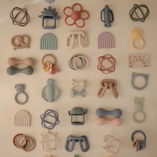 נשכן פרח- דייזי לילך