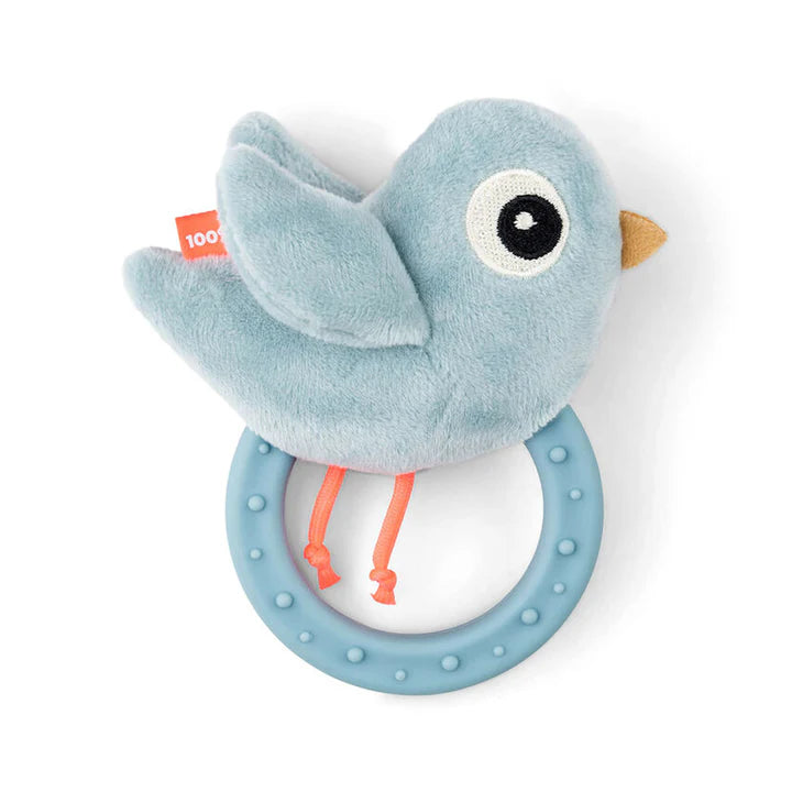 נשכן רעשן - בירדי בלו