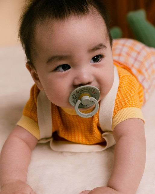 מוצץ - עלים - סייג Bibs Studio Colour