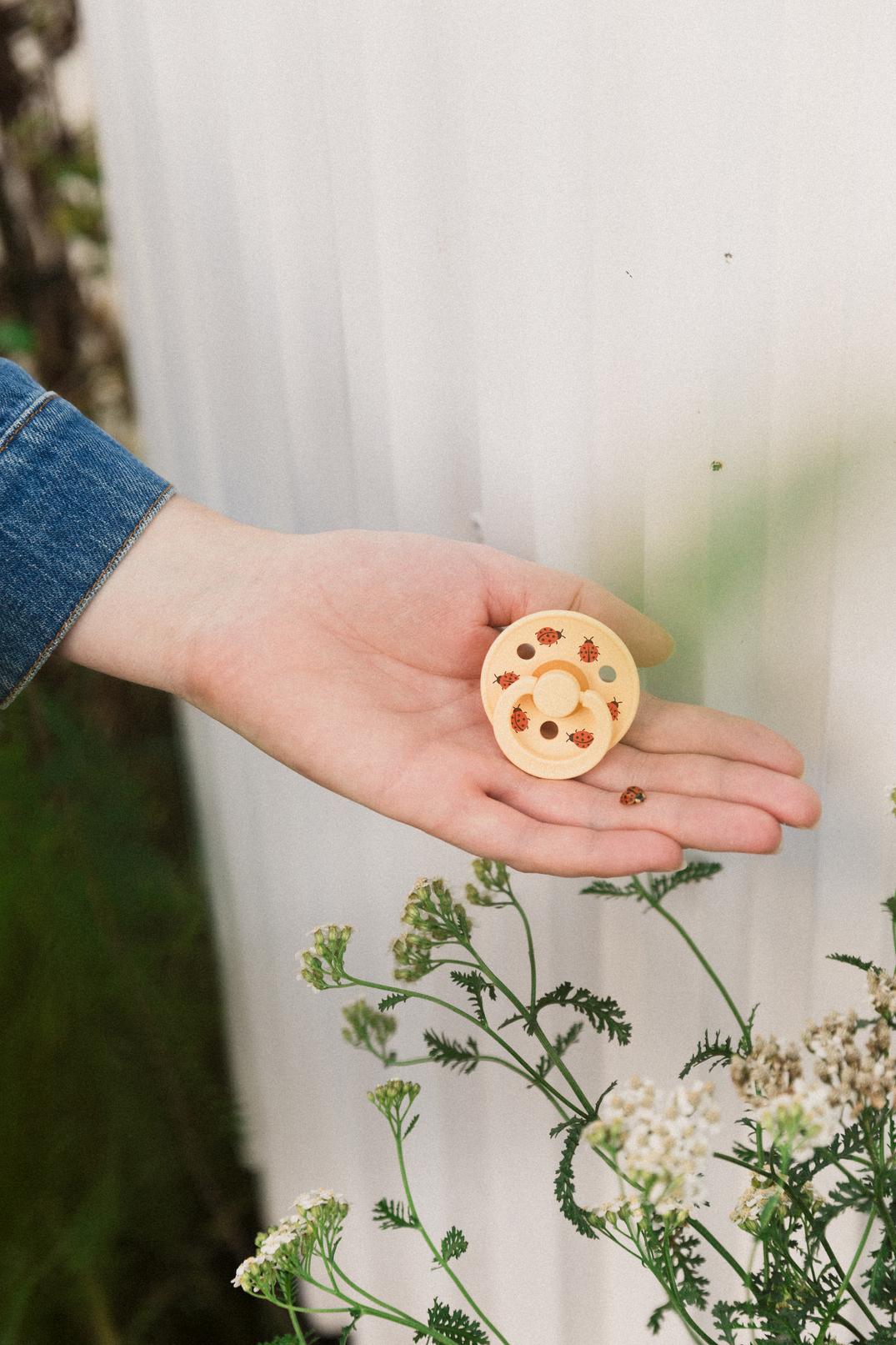 מוצץ - באגס - חמאה Bibs Studio Colour