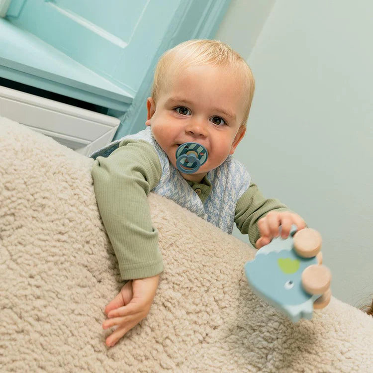 מוצץ - פסים עבים - פטרול מינט Bibs Studio Colour