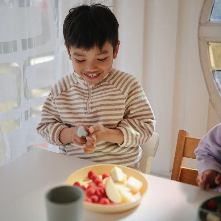 צלחות - זוג דפי