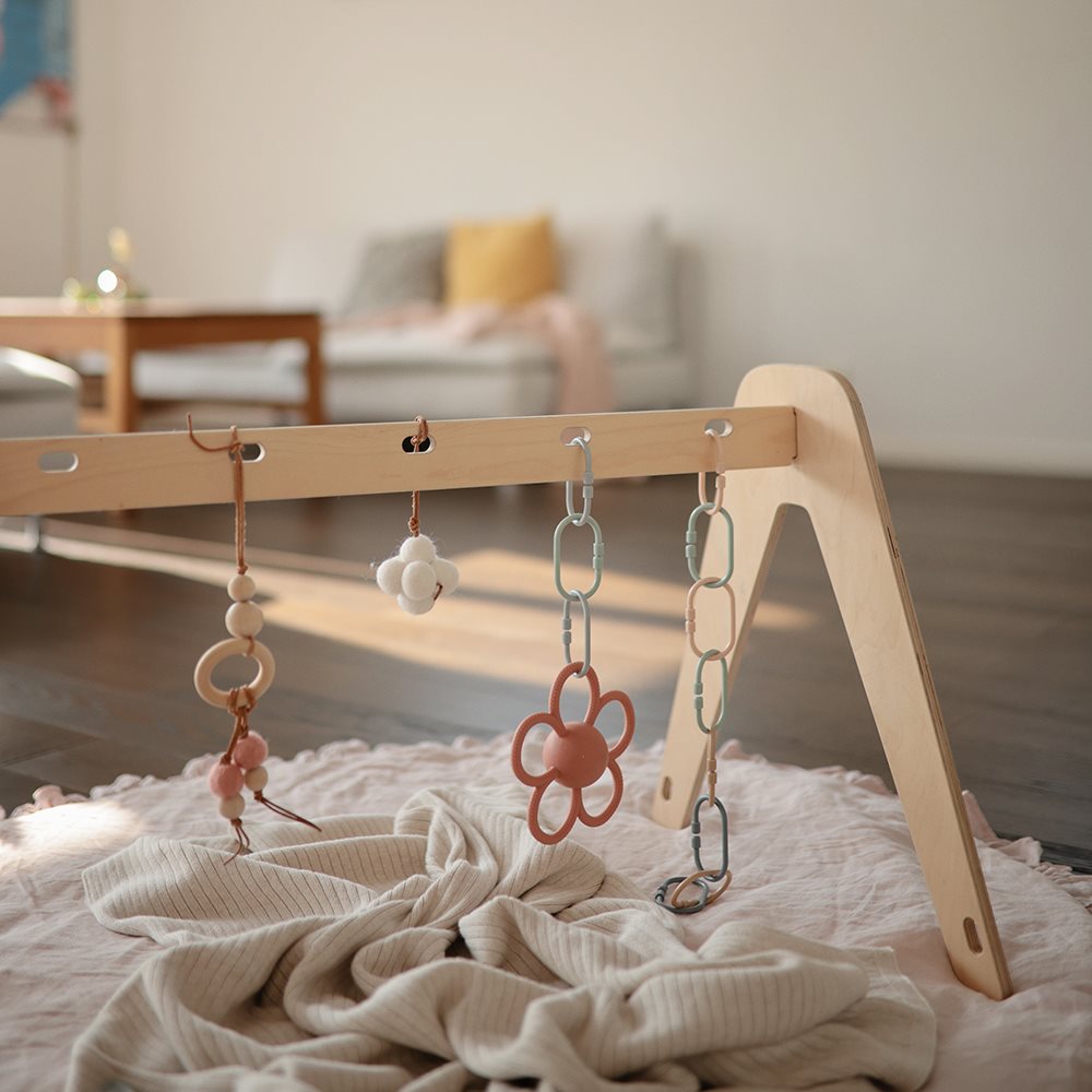 נשכן פרח- דייזי לילך