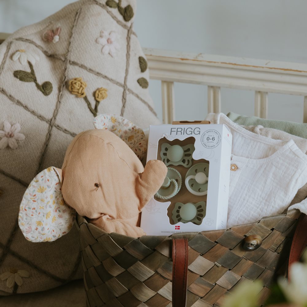 מוצצים מארז התנסות - סייג' Frigg