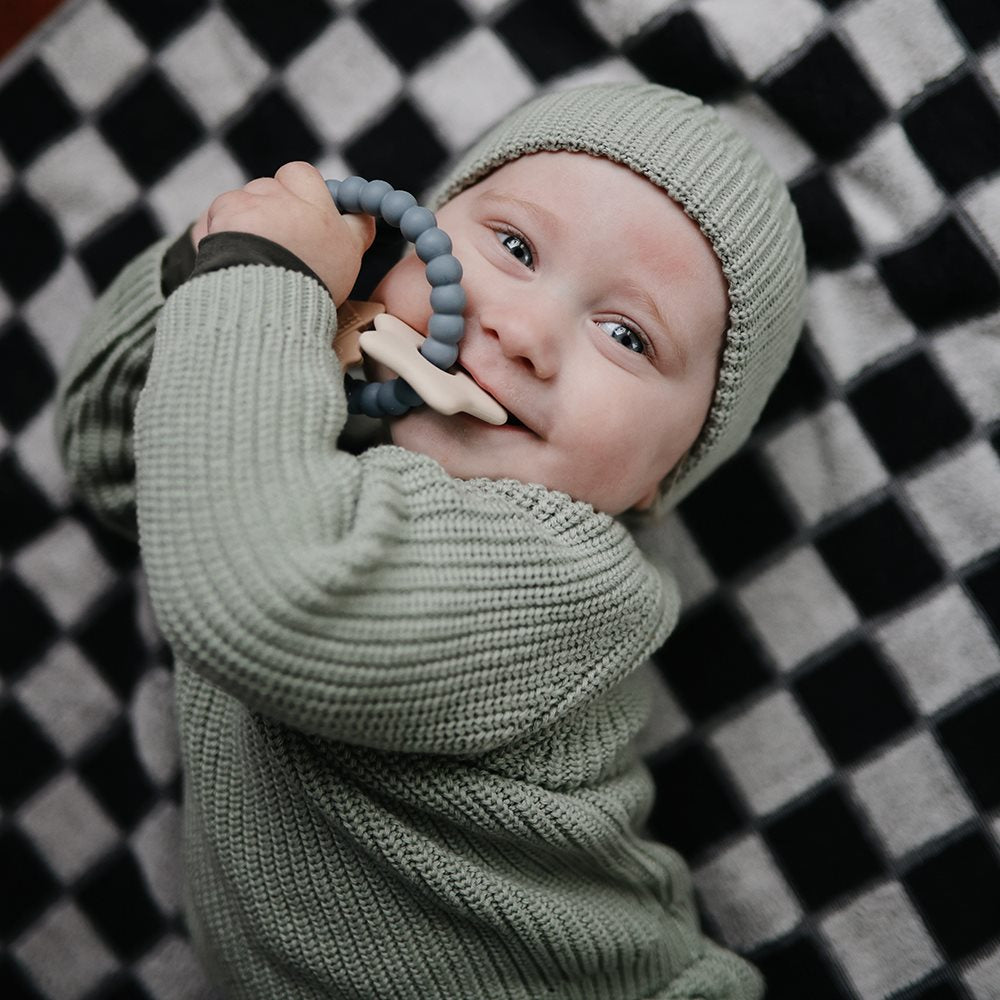 נשכן טבעת התפתחות - ספייס