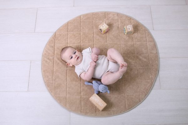 משטח פעילות - עיגול רוז