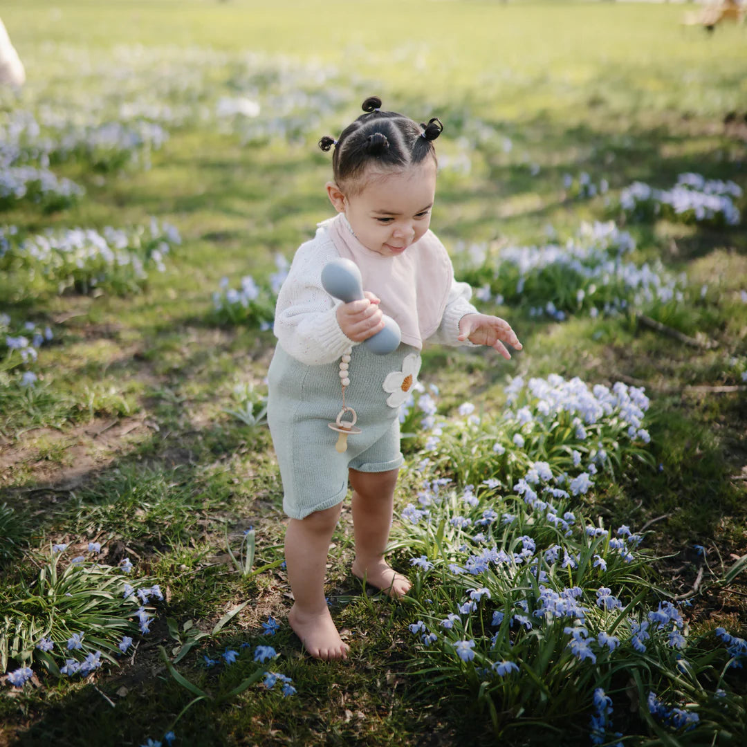 נשכן רעשן - ווינד