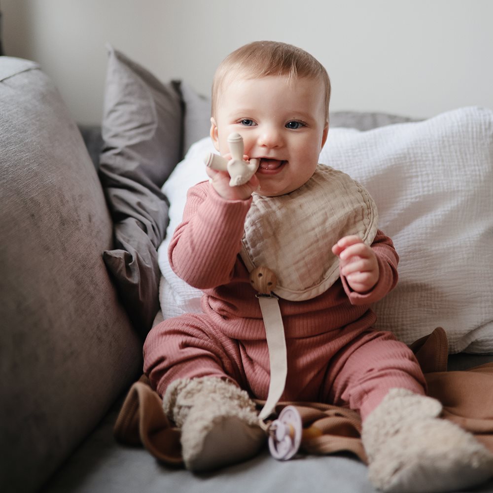 נשכן משחק - כלבלב