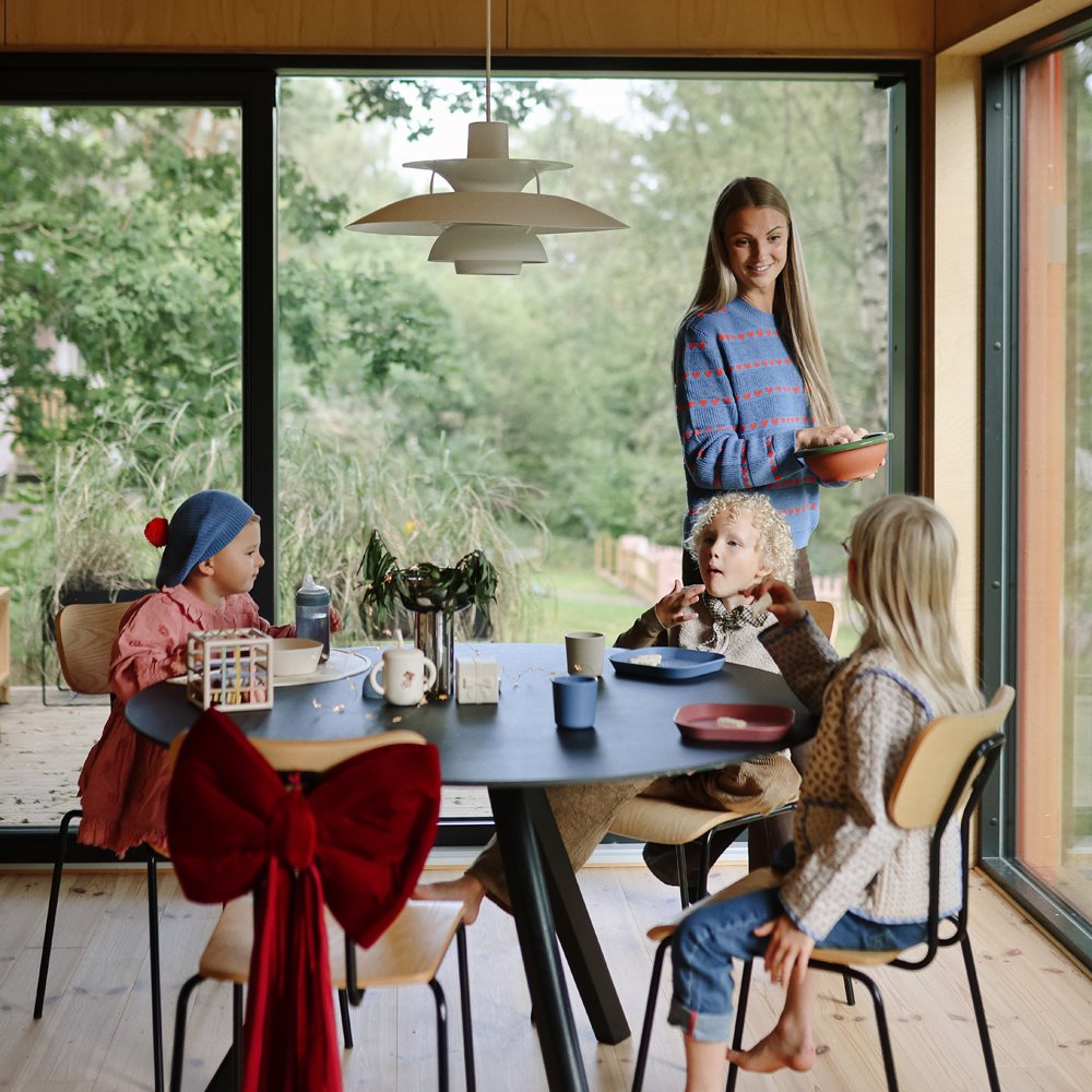 צלחות - זוג דאסטי רוז