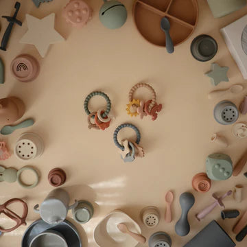 נשכן טבעת התפתחות - ספייס