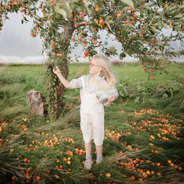 קופסת אוכל - סייג'