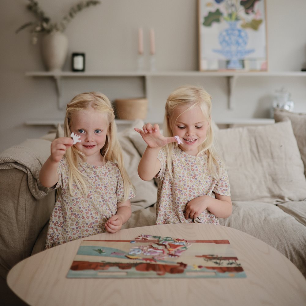 מדבקות רב פעמיות - דיינו