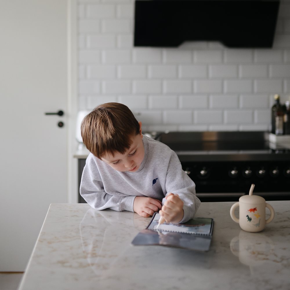 כוס קשית - דיינו