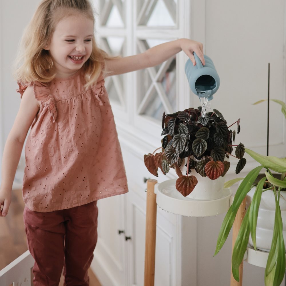 משפך רחצה - פרנץ'