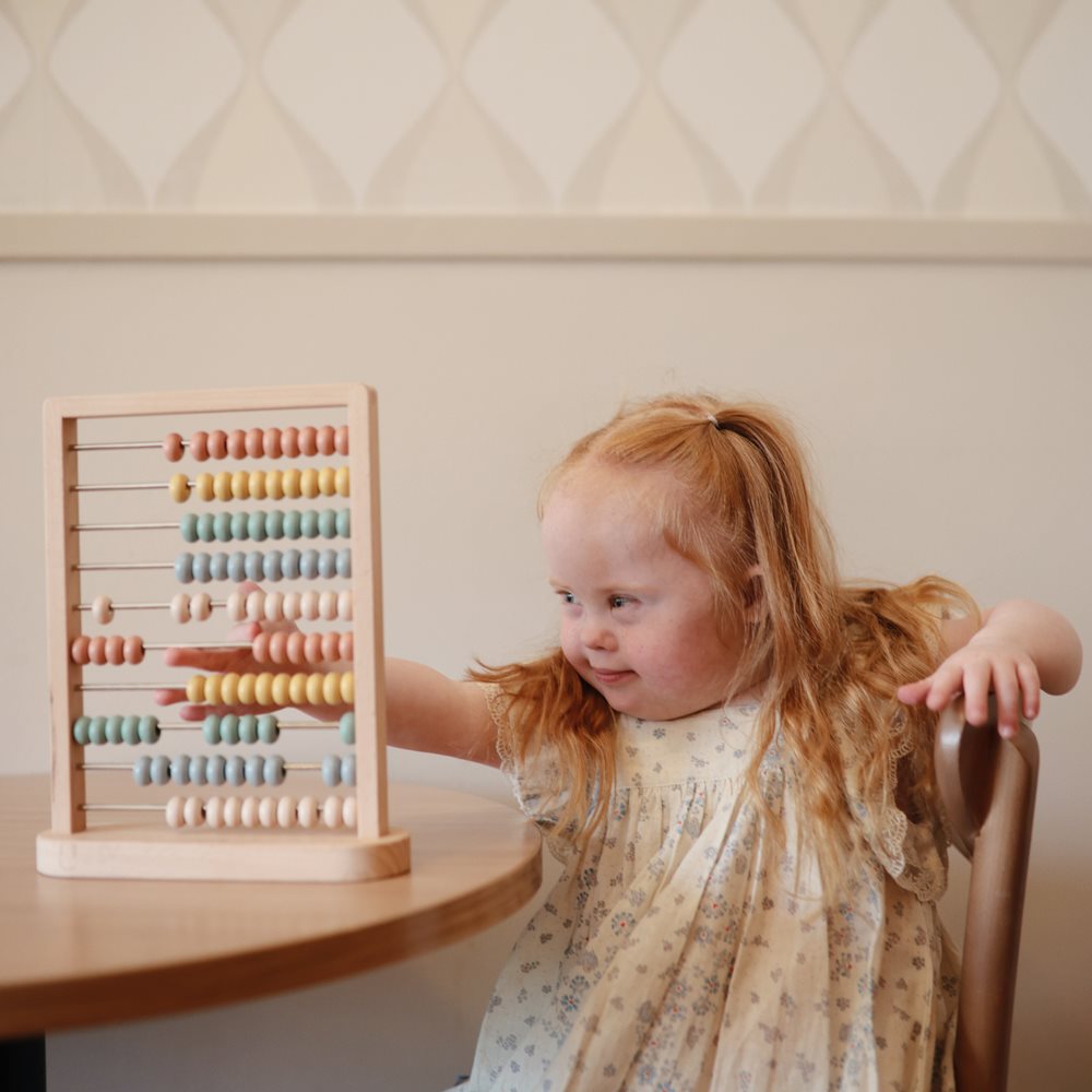 צעצוע עץ | חשבוניה