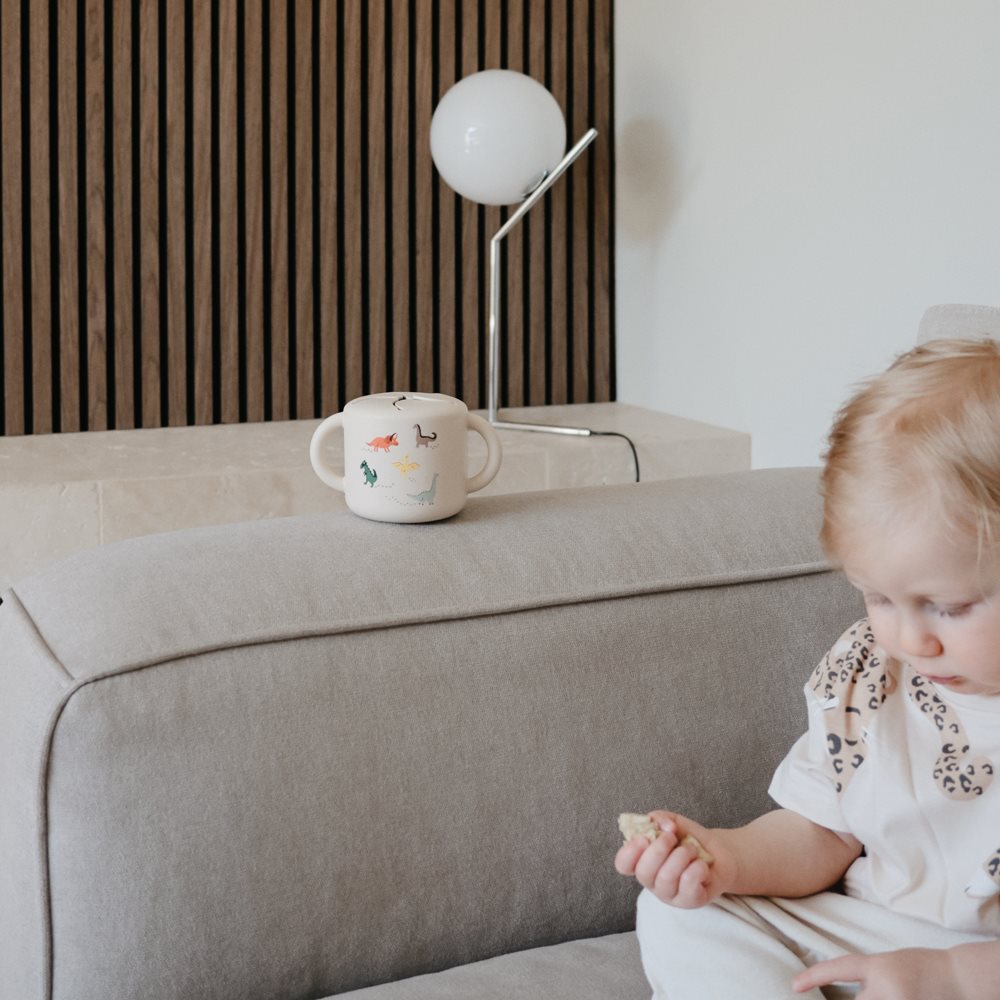 כוס חטיף - דיינו