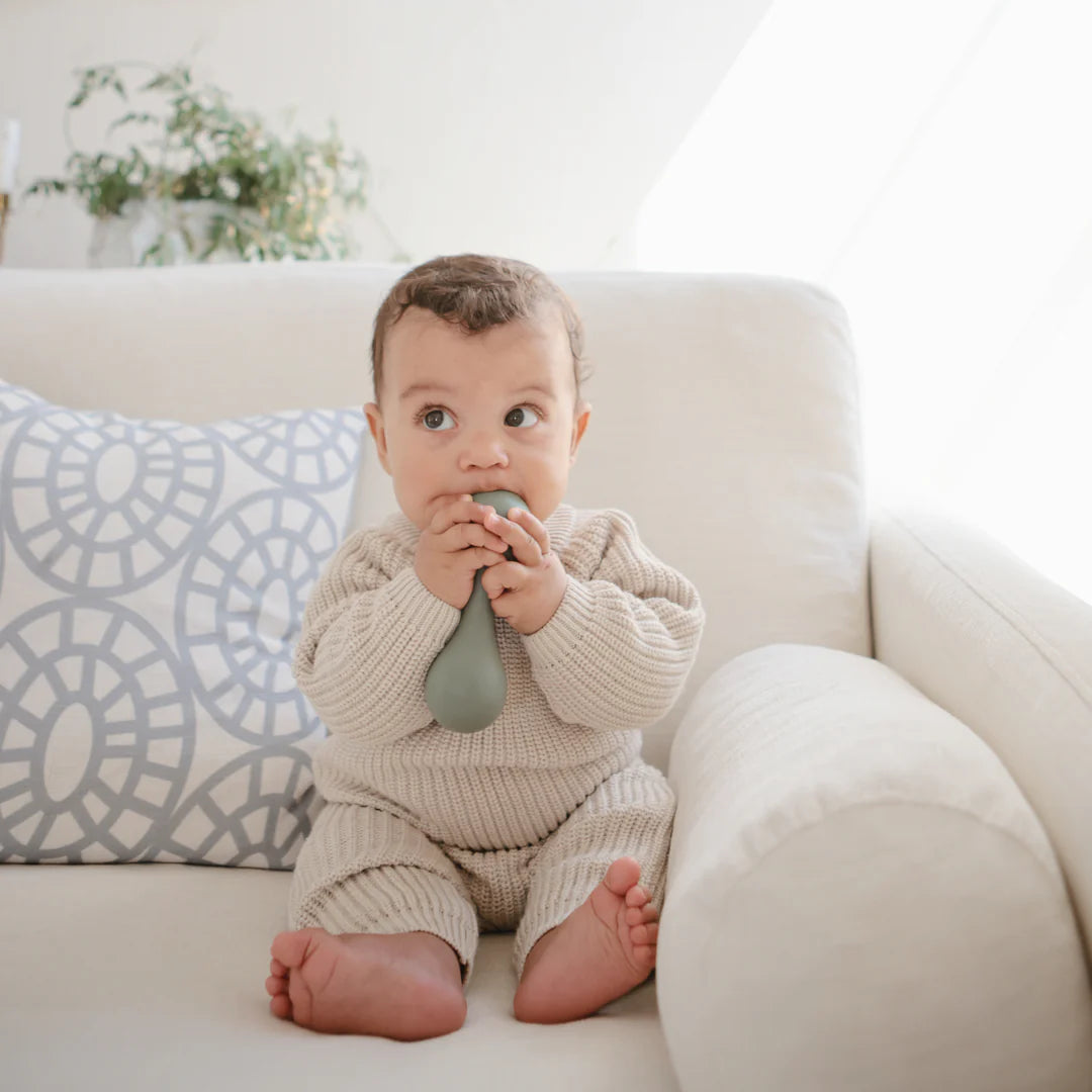 נשכן רעשן - ת'ים