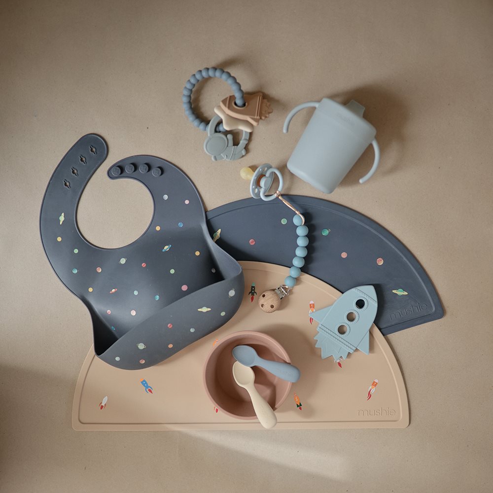 נשכן טבעת התפתחות - ספייס