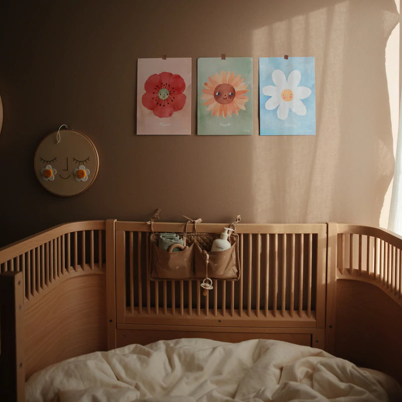 תאי אחסון - ריינבו