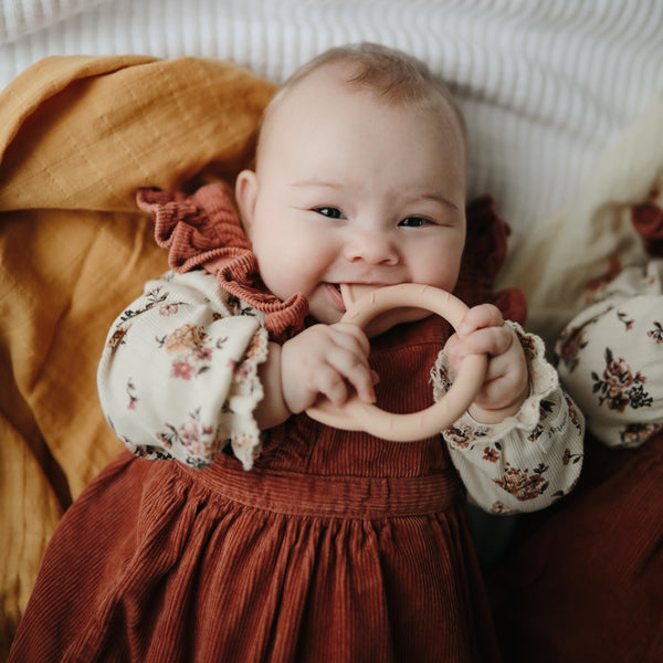 נשכן צמיד - חתלתול בלאש