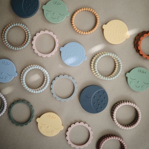 נשכן עגול - פייס דפי