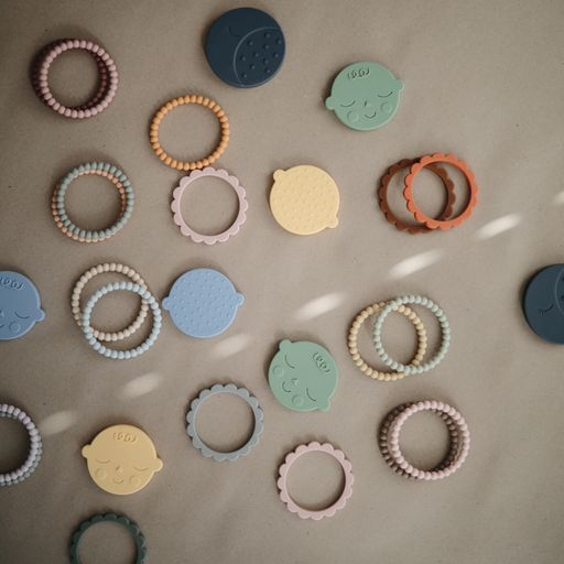 נשכן עגול - פייס מלון