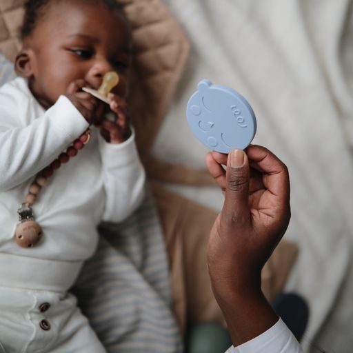 נשכן עגול - פייס ווינד