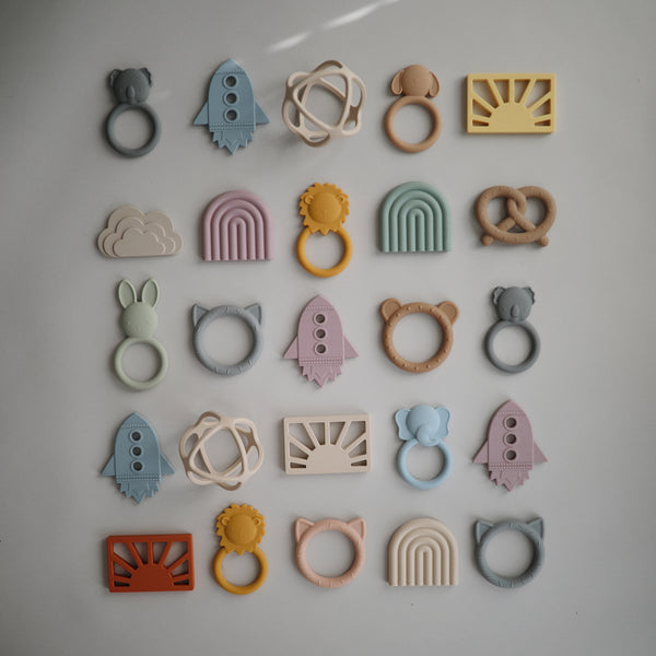 נשכן - ריינבו קיימברידג׳