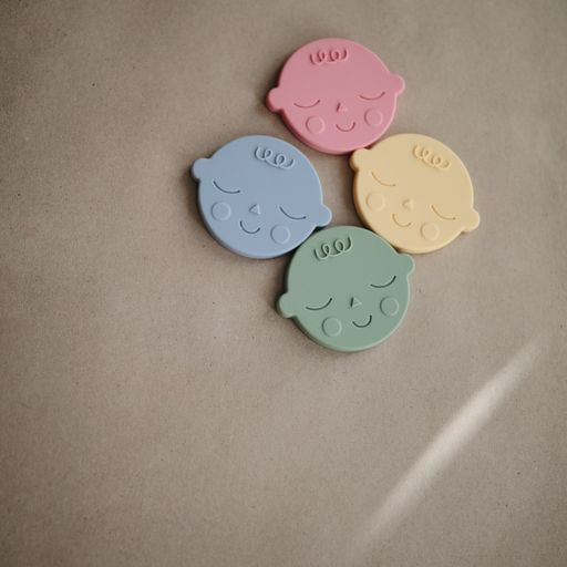 נשכן עגול - פייס דפי