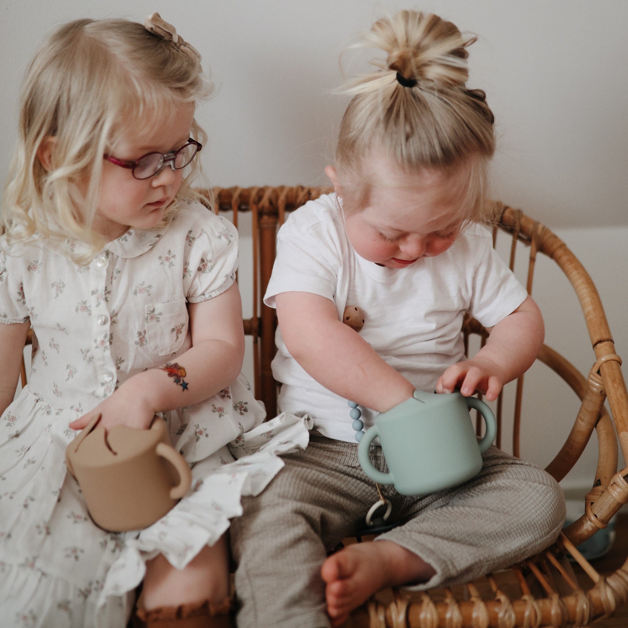 כוס חטיף - קיימברידג'