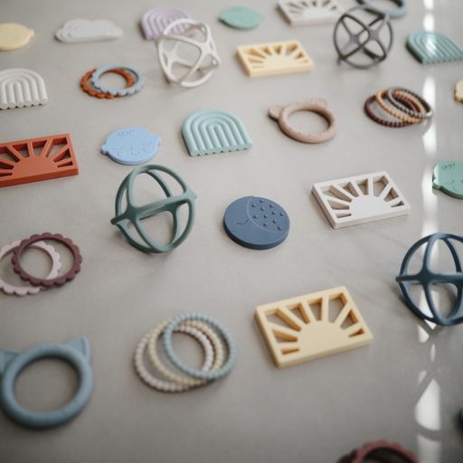 נשכן עגול - מון איירון