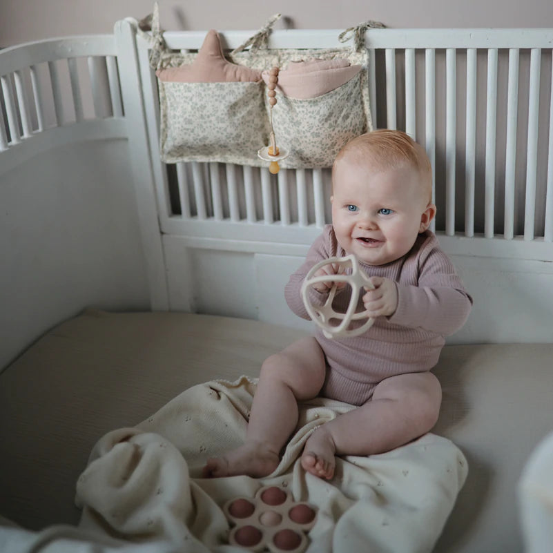 תאי אחסון - עלים