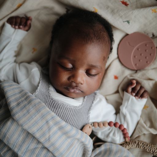 נשכן עגול - מון טאופ