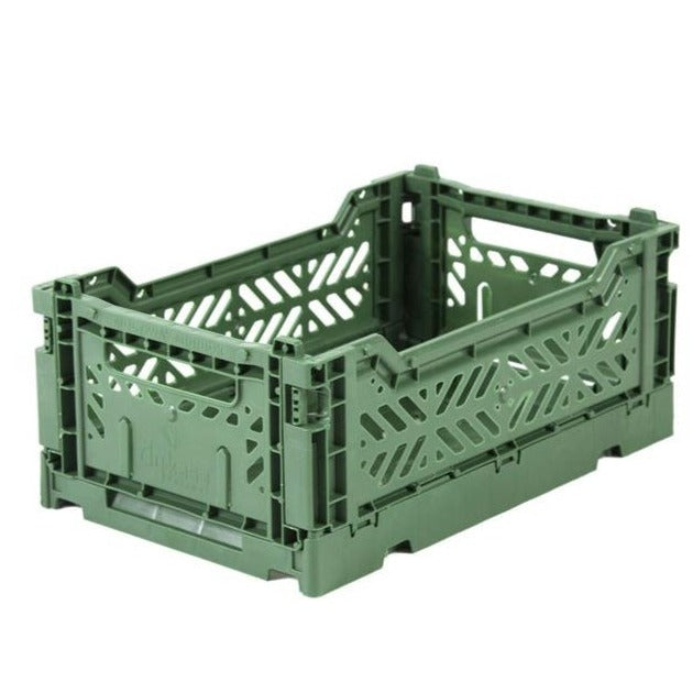 תיבה מיני קטנה - שקד אוליב