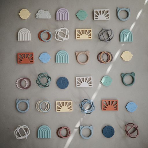 נשכן עגול - פייס דפי