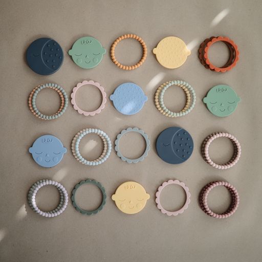 נשכן עגול - פייס ווינד