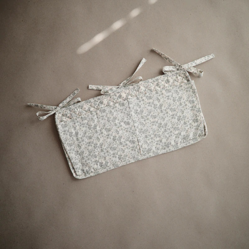 תאי אחסון - עלים