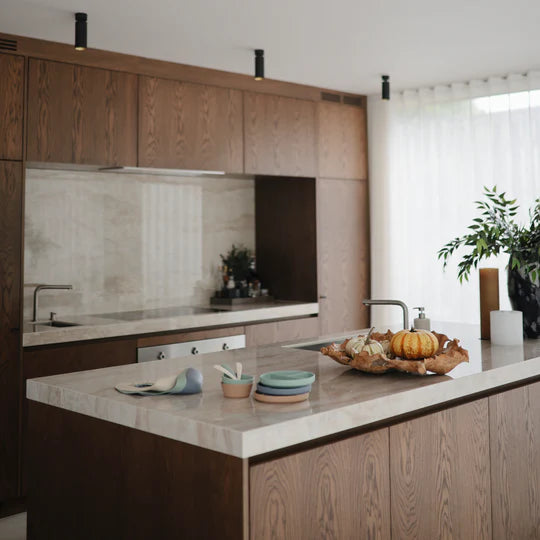 קערית סיליקון נצמדת - קיימברידג'