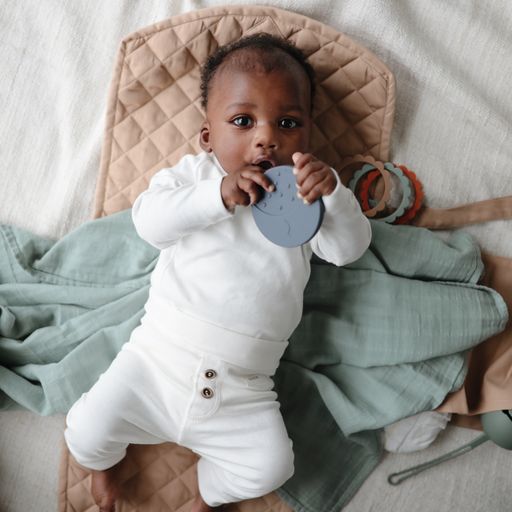 נשכן עגול - מון איירון