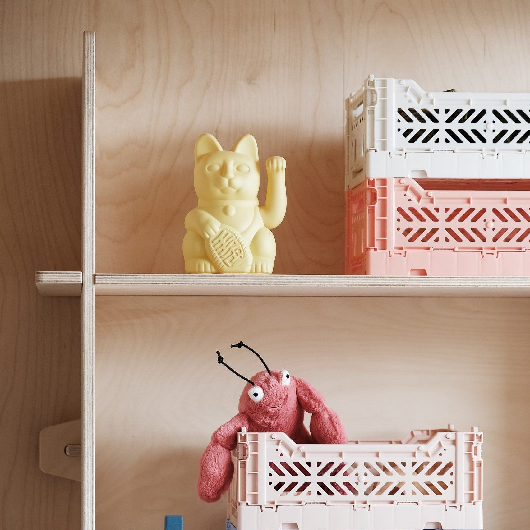 תיבה מיני קטנה - סלמון