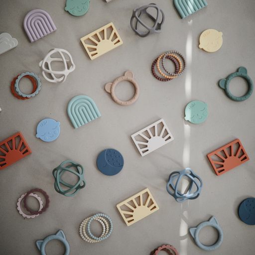 נשכן עגול - פייס ווינד