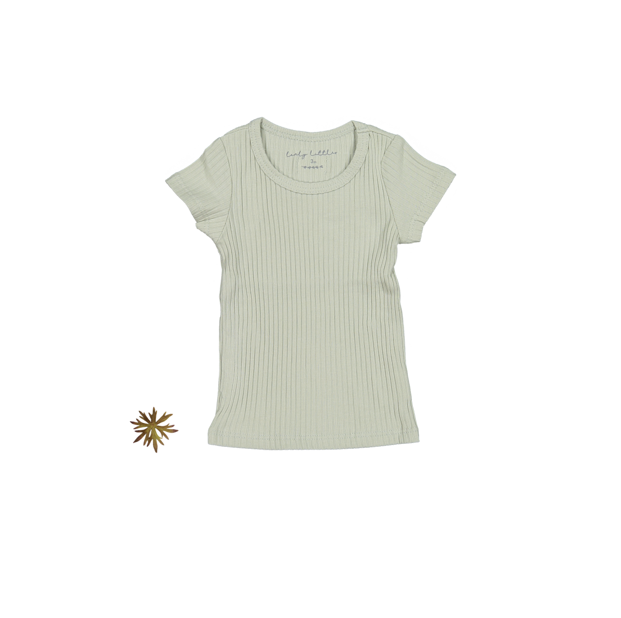 חולצת טי קצרה