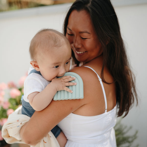 נשכן - ריינבו קיימברידג׳