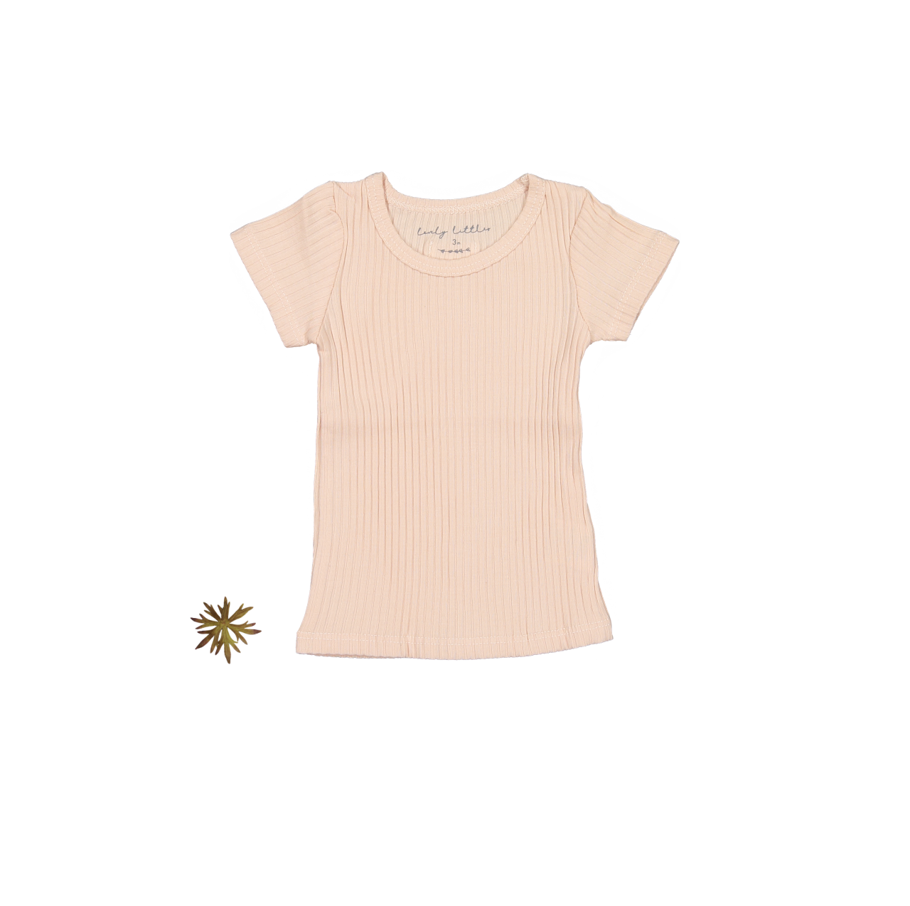 חולצת טי קצרה