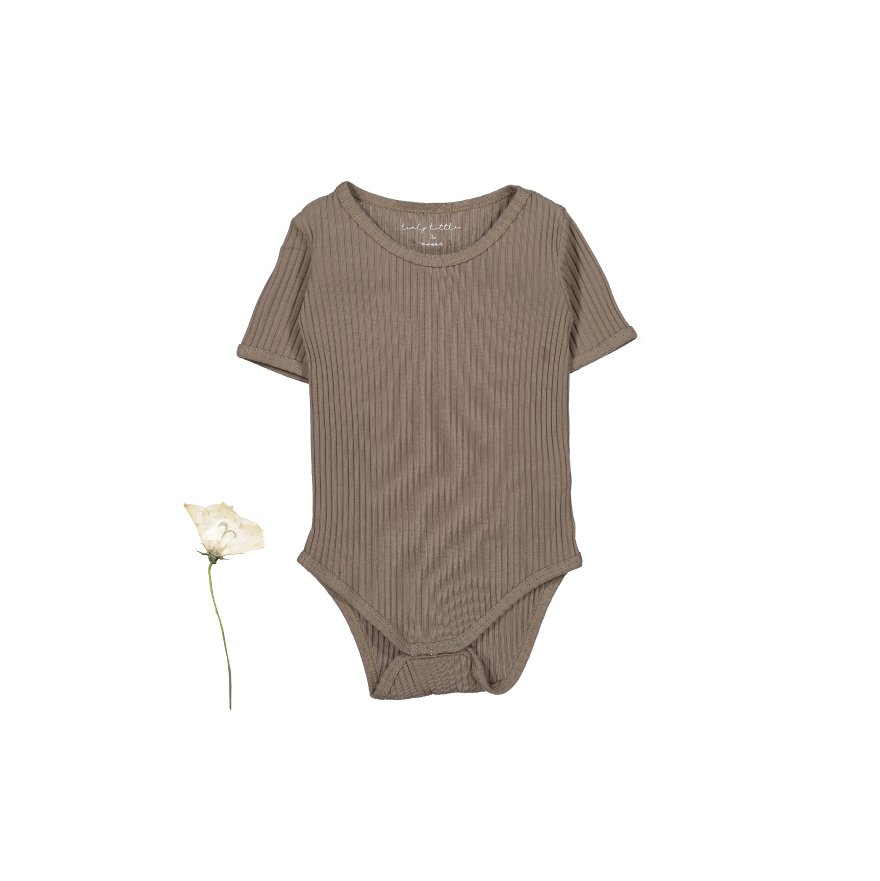 חולצת טי קצרה וואנסי