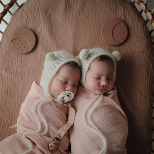 נשכן עגול - מון טאופ