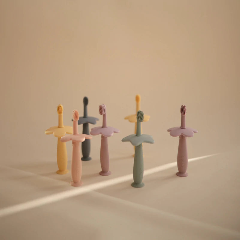 מברשת שיניים - סטאר קיימברידג'