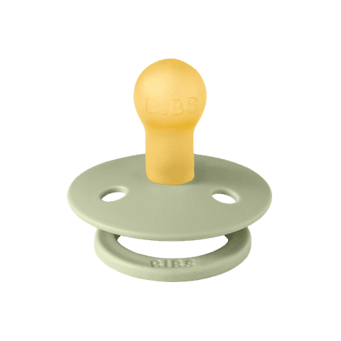 מוצץ - עלים - סייג Bibs Studio Colour