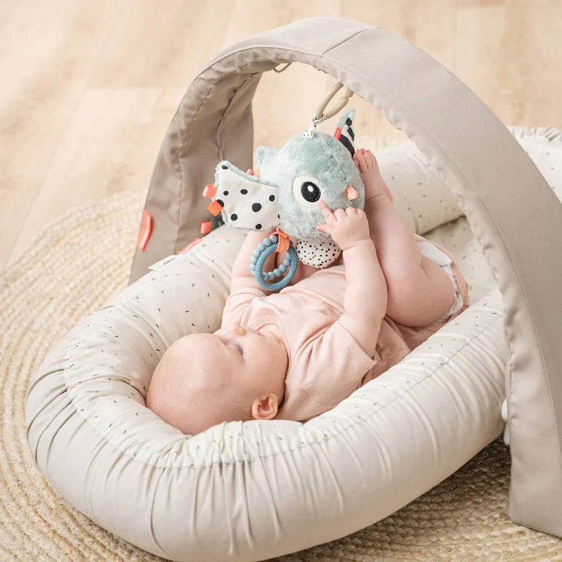 בובת משחק והתפתחות לתלייה- בירדי הציפור